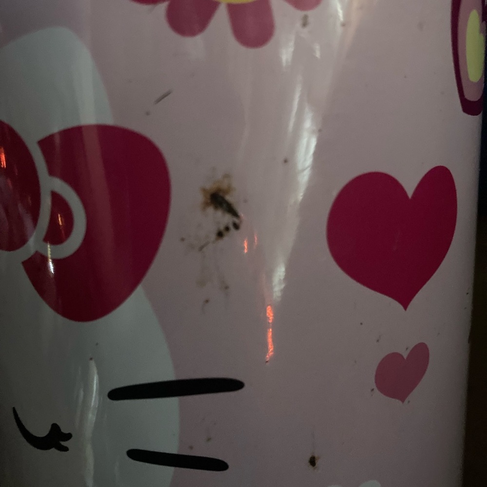 Hello Kitty bundle - Picture 6 of 9